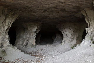 Kahui - Tipua