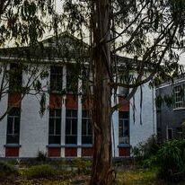 Seacliff Mental Asylum Buildings
